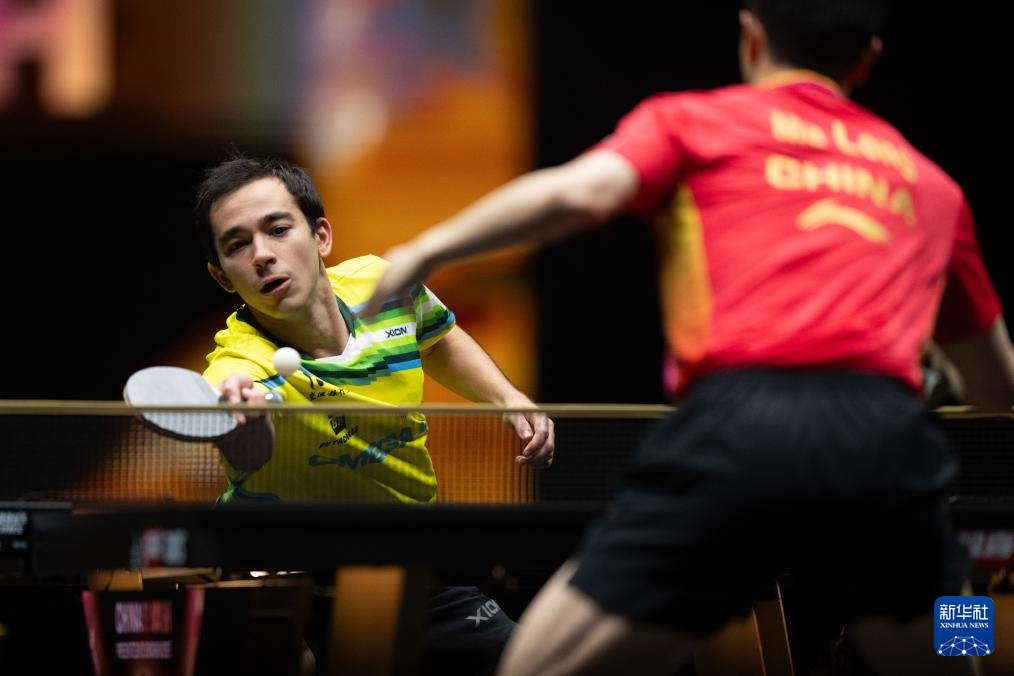 无论真相如 无论真相如