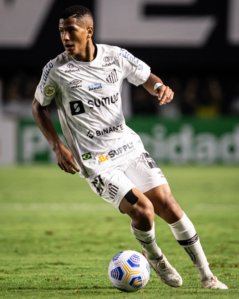 意志力和娴 意志力和娴